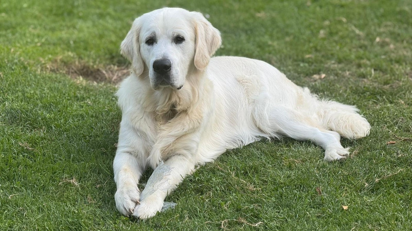 Des Nouvelles de nos premiers Bébés dans leurs familles !!!