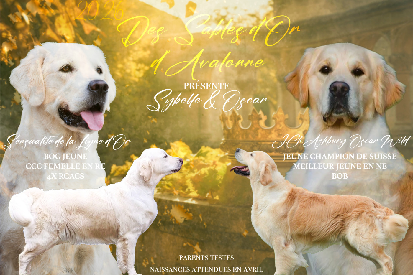 Faire-part de mariage Sybelle / Oscar